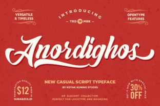 Anordighos: The Playful Display Font for Bold Branding