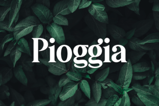 Designing Modern Brands with the Pioggia Typeface