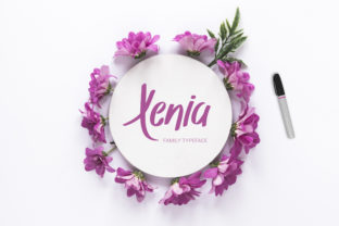 Elevate Campaigns with Xenia Family Display Fonts