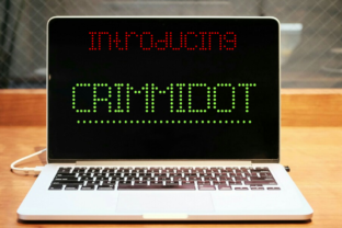 Upgrade Your Brand with Crimmidot Display Fonts