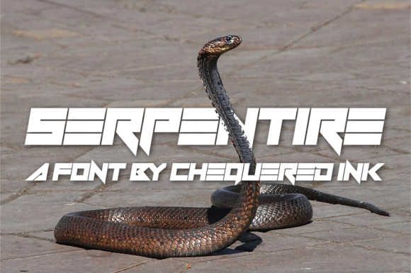 Upgrade Your Brand with the Serpentire Typeface